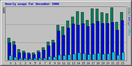 Hourly usage for December 2006