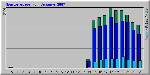 Hourly usage for January 2007